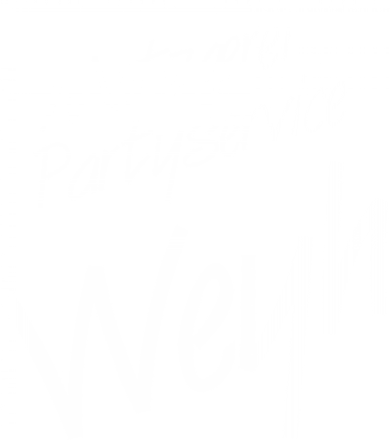 _wpframe_custom/gallery/files/wpf_sites_paragraphs_parts/t_company_logo_horizontal_negativpng_1593087791.png